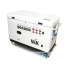 Дизельний генератор NIK DG10000