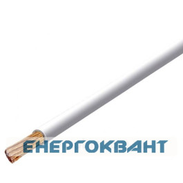 Провід ПВ3 нгд 10,0 ЗЗЦМ