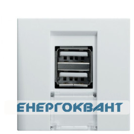 Подвійна USB розетка Hager Systo WS110 2М (білий)