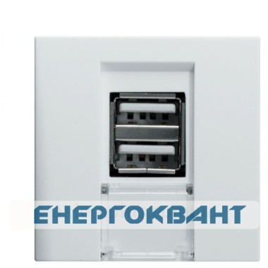 Подвійна USB розетка Hager Systo WS110 2М (білий) Подвійна USB розетка Hager Systo WS110 2М (білий)
